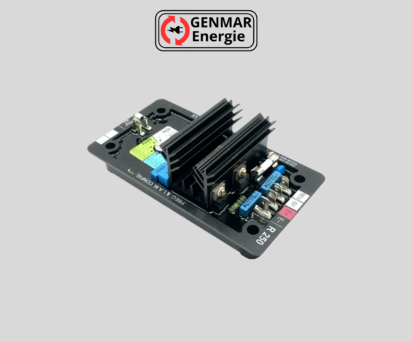 AVR R250 Leroy Somer